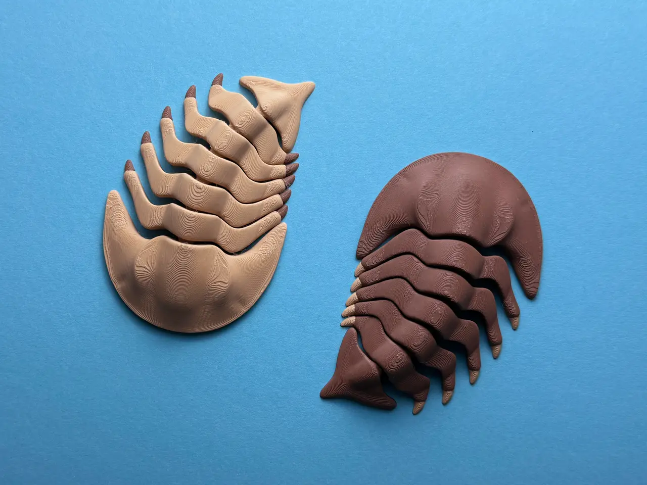 Articulated Trilobite — modelo 3D