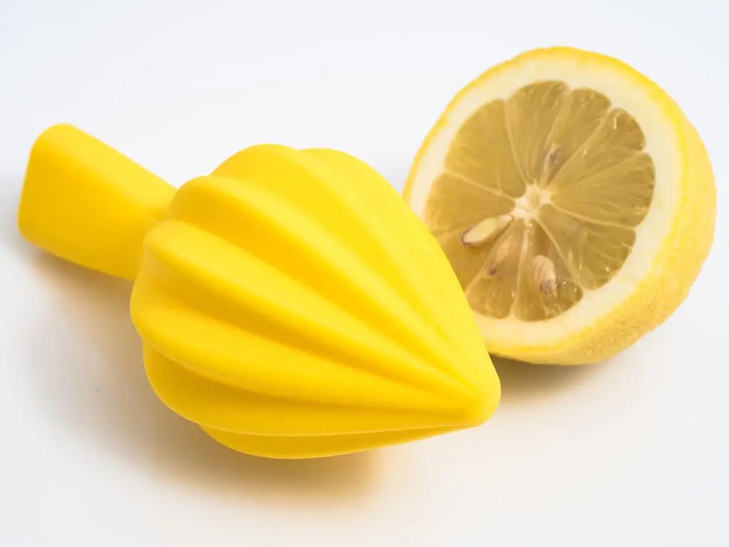 Citrus Juicer — modelo 3D