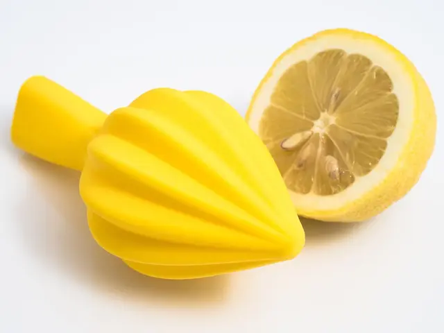 Citrus Juicer — modelo 3D