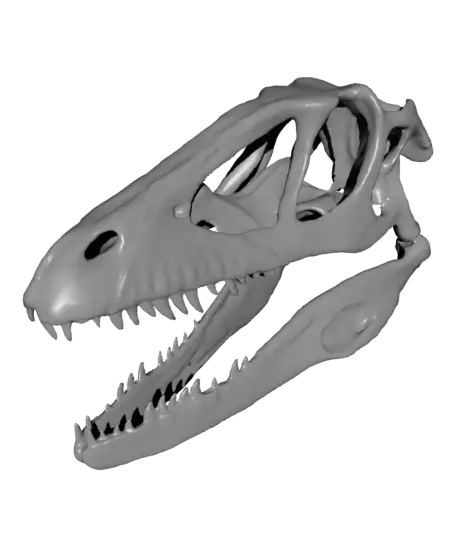 Velociraptor skull — modelo 3D