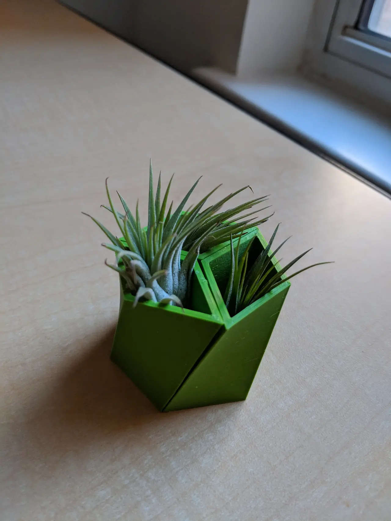 Tessellating succulent planter — modelo 3D