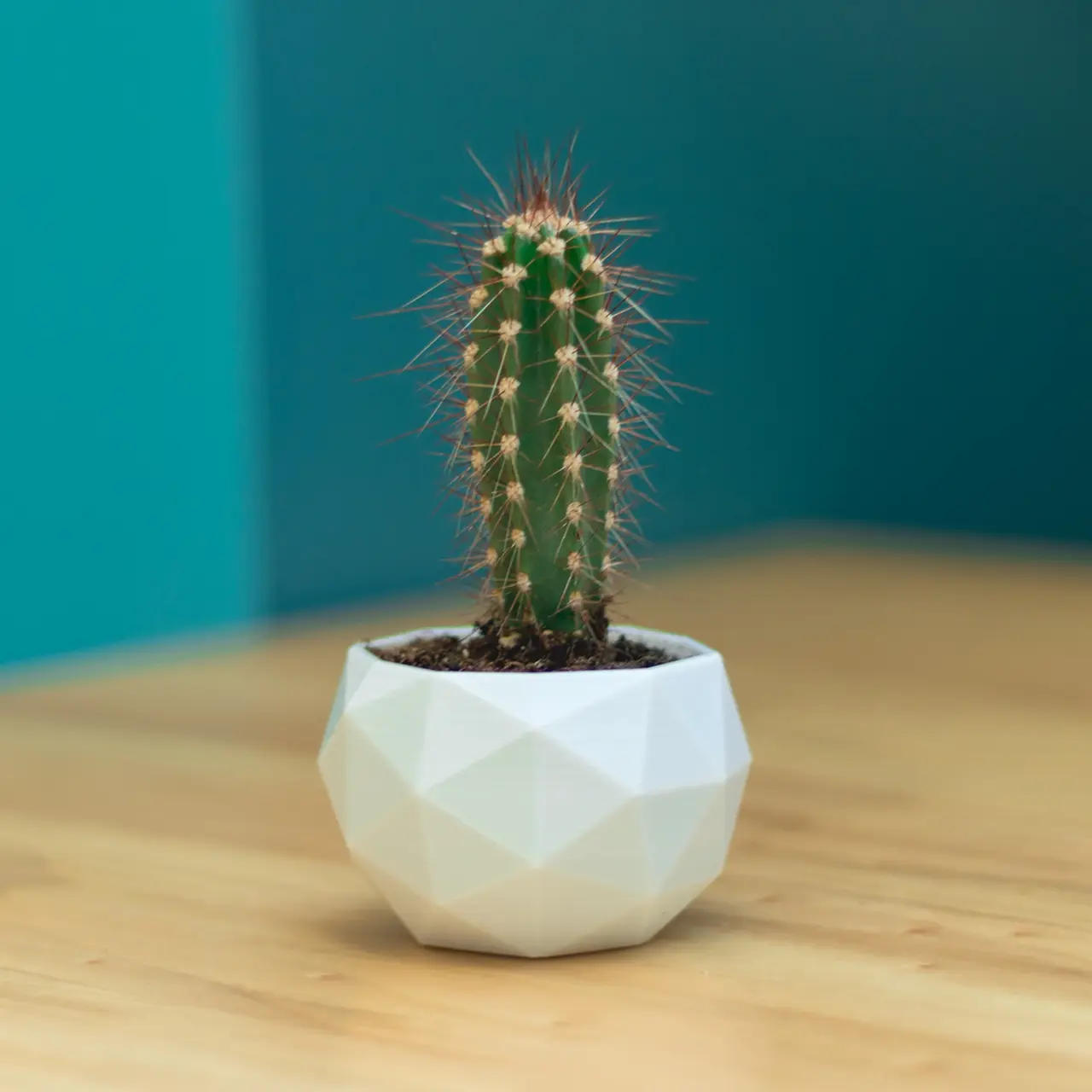 Flower Pot - Low Poly — modelo 3D