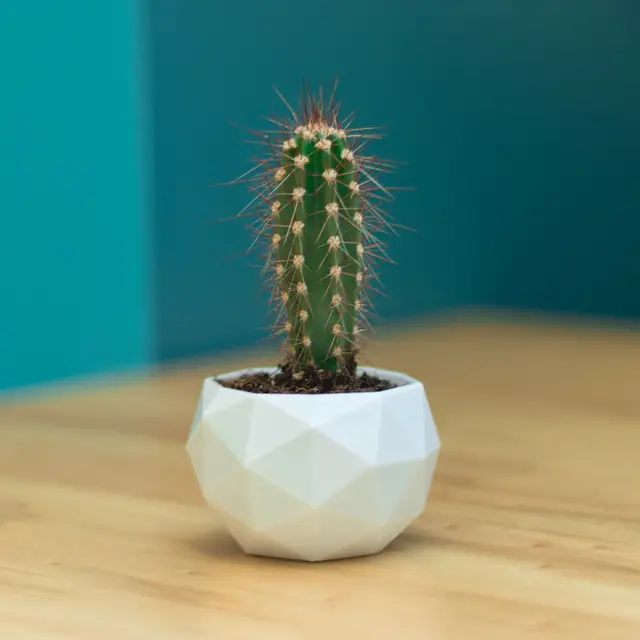 Flower Pot - Low Poly — modelo 3D