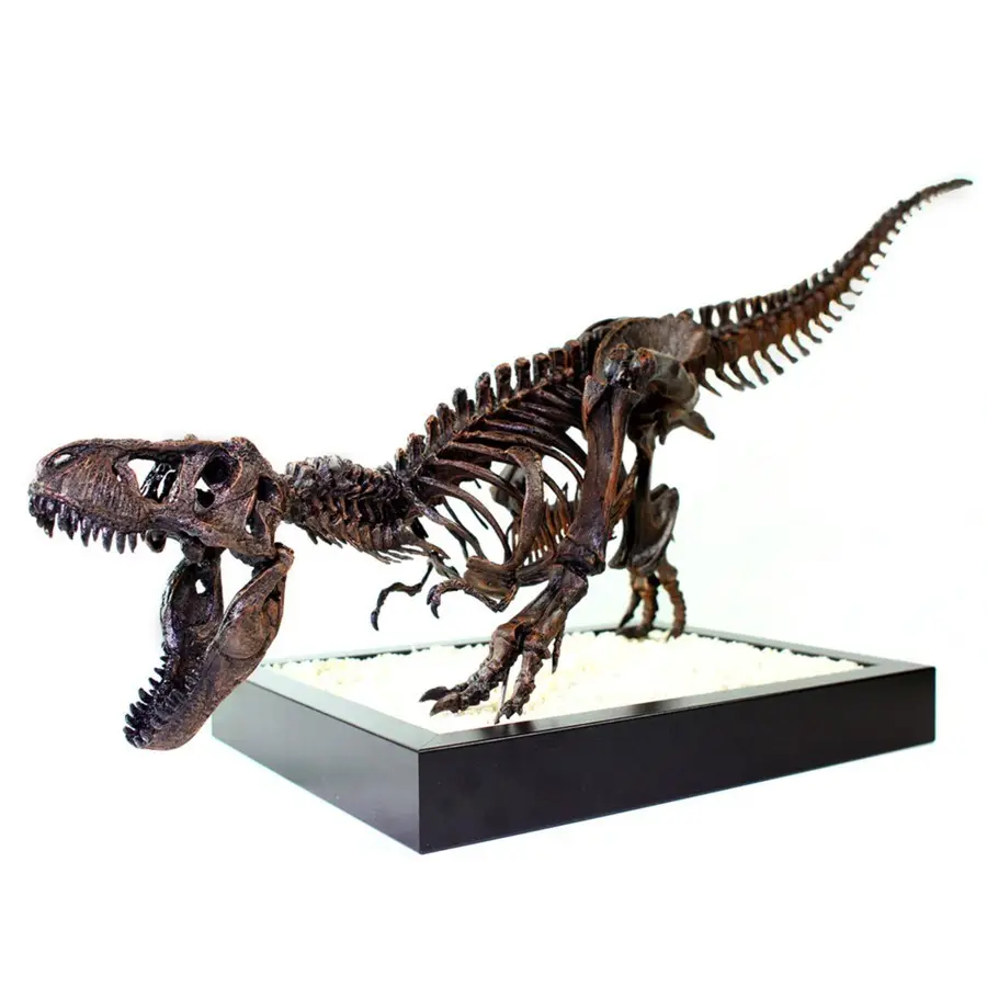 T-Rex Skeleton - Leo Burton Mount — modelo 3D