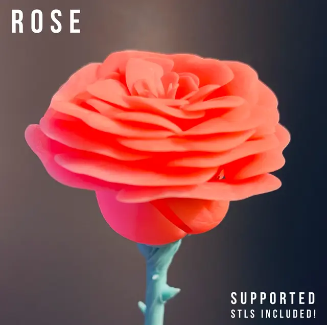 Rose — modelo 3D