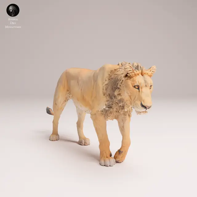 Lion Sub-Adult — modelo 3D