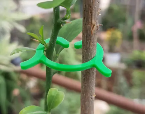 Clips for plants — modelo 3D