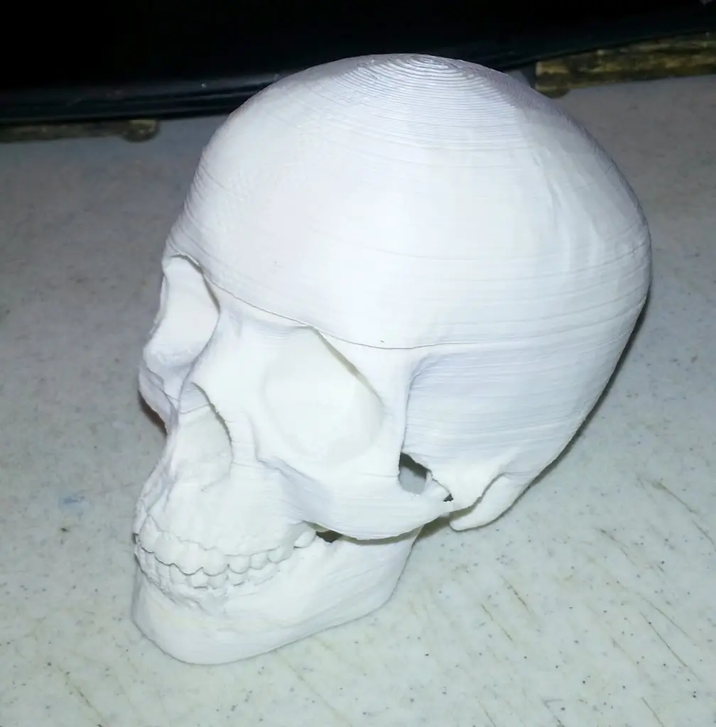 Sliced Human Skull with Mandible and Teeth — modelo 3D