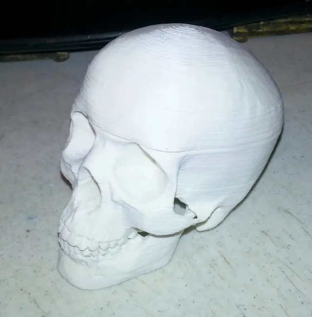 Sliced Human Skull with Mandible and Teeth — modelo 3D