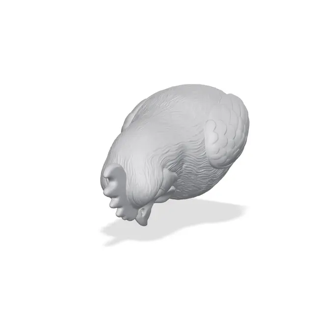 Hen Bust 3D Print STL — modelo 3D