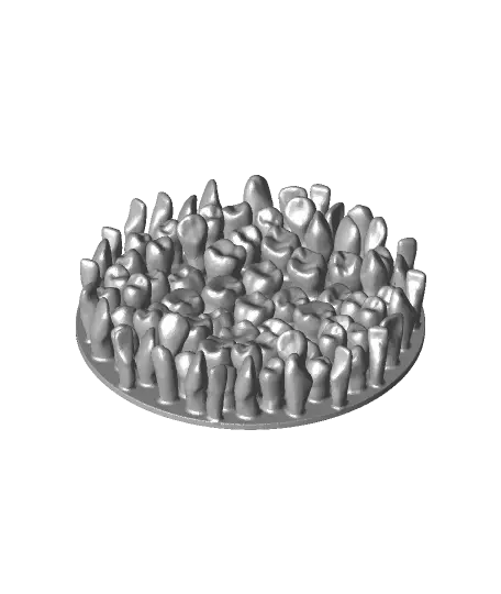 Tooth Dish — modelo 3D