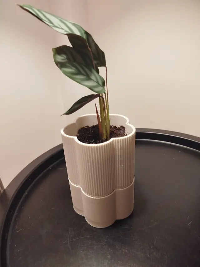 PENTAPOT self-watering planter with a wick system — modelo 3D