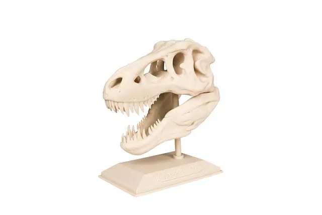 The T-Rex Skull — modelo 3D