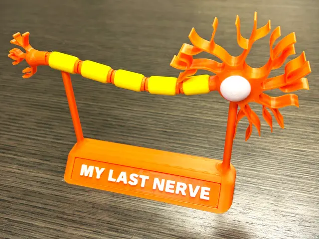 Articulated Neuron - My Last Nerve Desk Model — modelo 3D