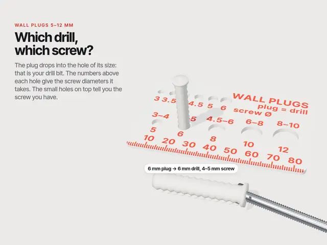 Wall Plug Gauge Card – Drill & Screw Finder — modelo 3D
