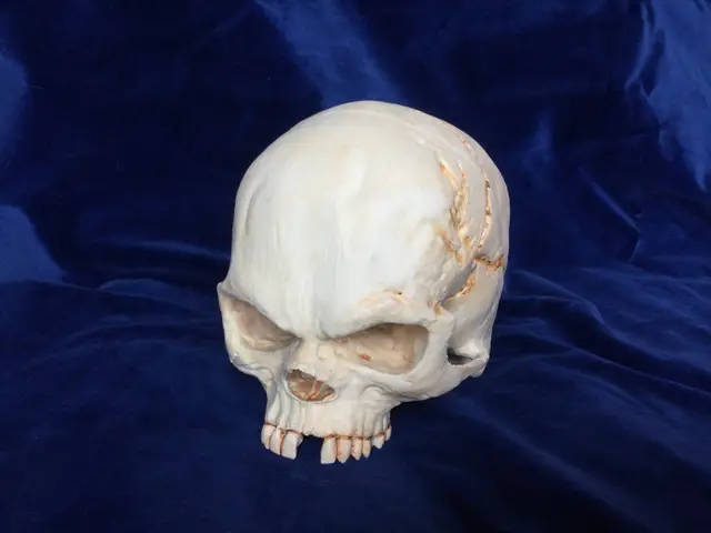 Fantasy skull with secret compartment — modelo 3D