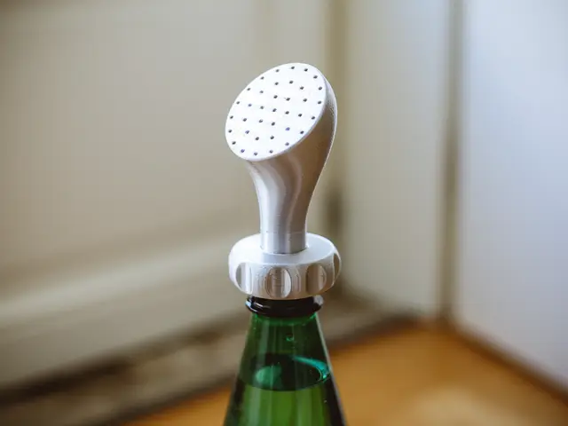 PET Bottle Watering Spout Cap (Narrow and Wide) — modelo 3D