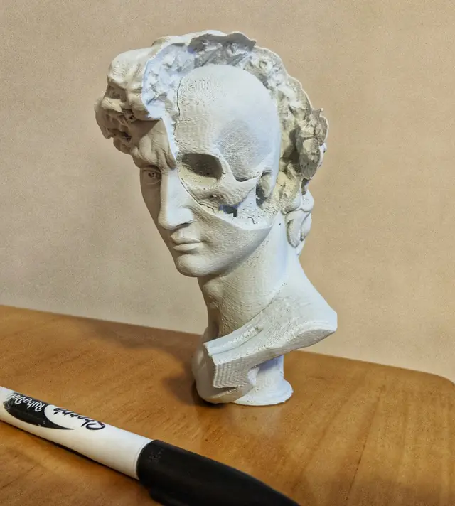 David's Cranium — modelo 3D