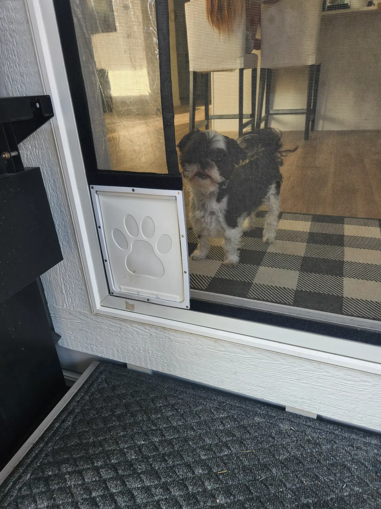 Outdoor Screen Pet Door for Dogs and Cats — modelo 3D