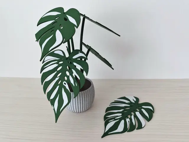 Monstera Devil Monster coaster set — modelo 3D