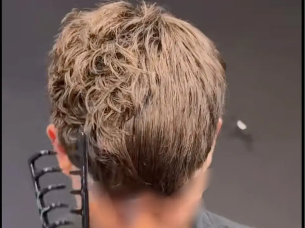 Texturizing Hair Comb — modelo 3D