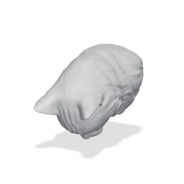 American Bobtail Bust 3D Print STL — modelo 3D