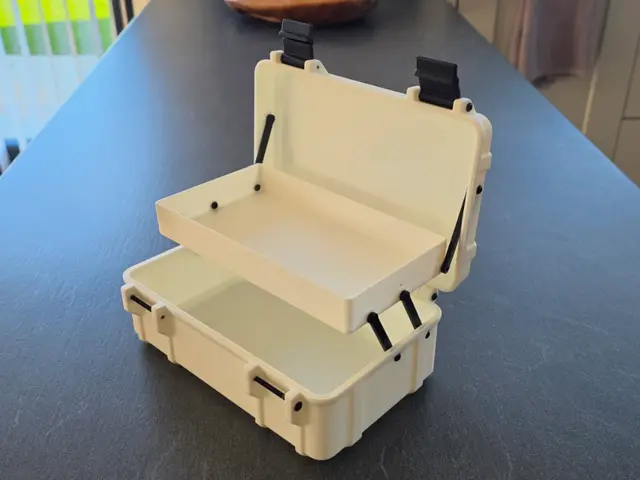 Rugged Cantilever Box — modelo 3D