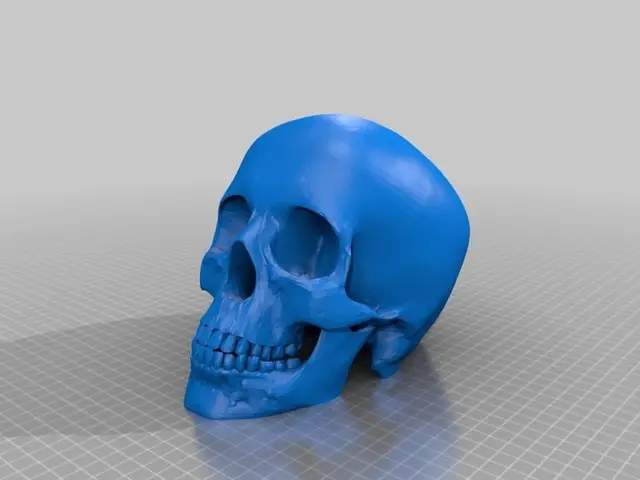 Skull — modelo 3D