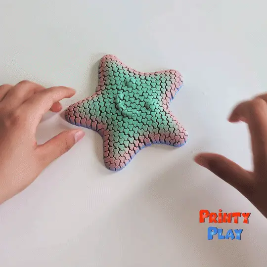 Flexi Playful Star — modelo 3D