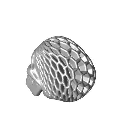 Architected Skull (Hex Honeycomb) — modelo 3D