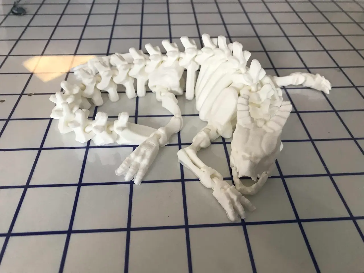 Articulated Skeleton Dragon — modelo 3D