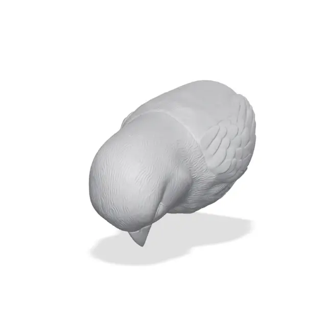 Canary Bust 3D Print STL — modelo 3D
