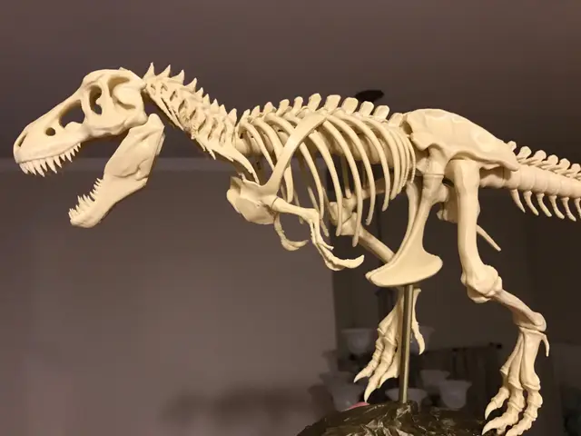T-Rex Skeleton fixed and printable — modelo 3D