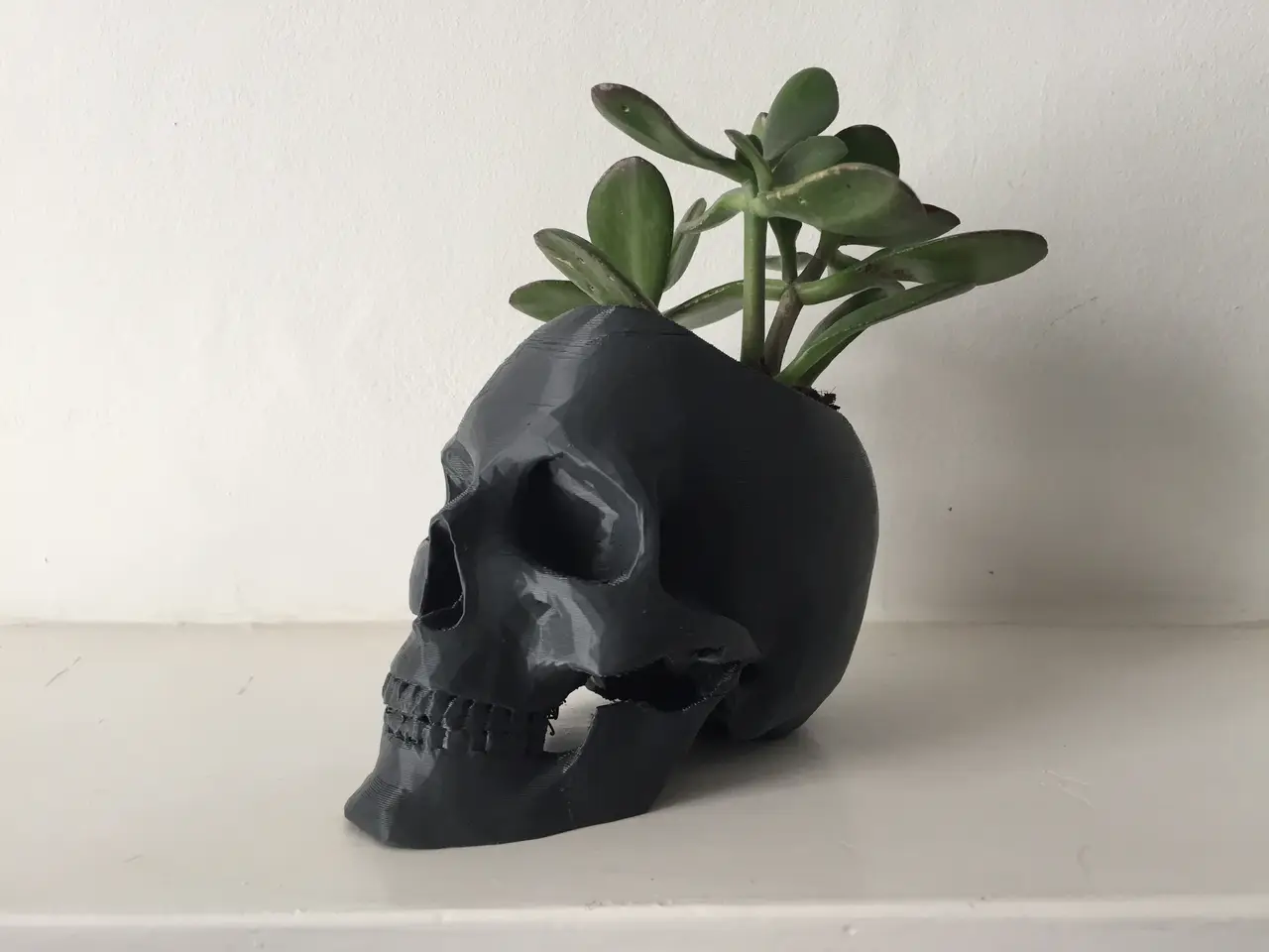 Skull Pot — modelo 3D
