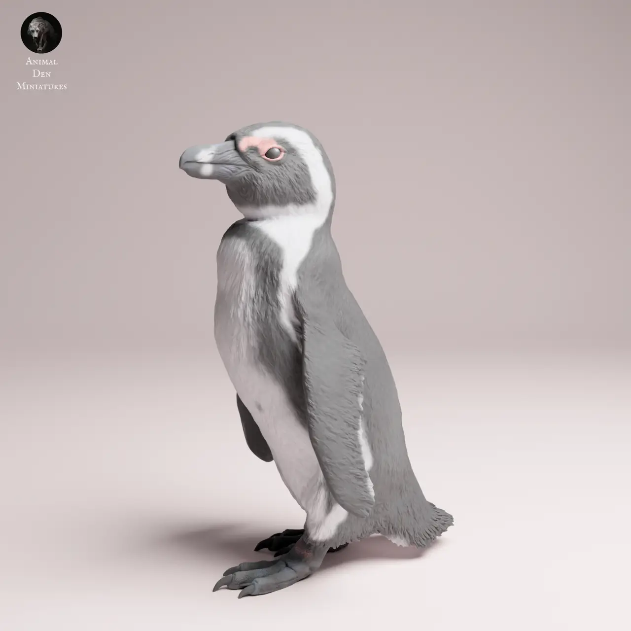 African Penguin — modelo 3D