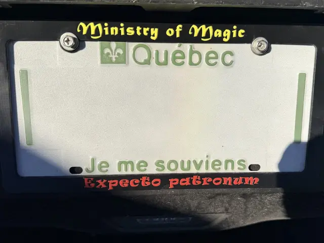 cadre de plaque au Quebec — modelo 3D
