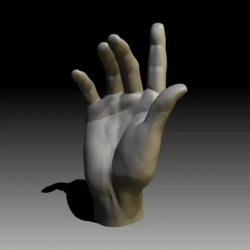 Hand, ring holder — modelo 3D