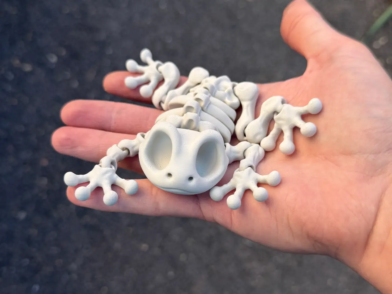 Articulated Skeleton Frog — modelo 3D