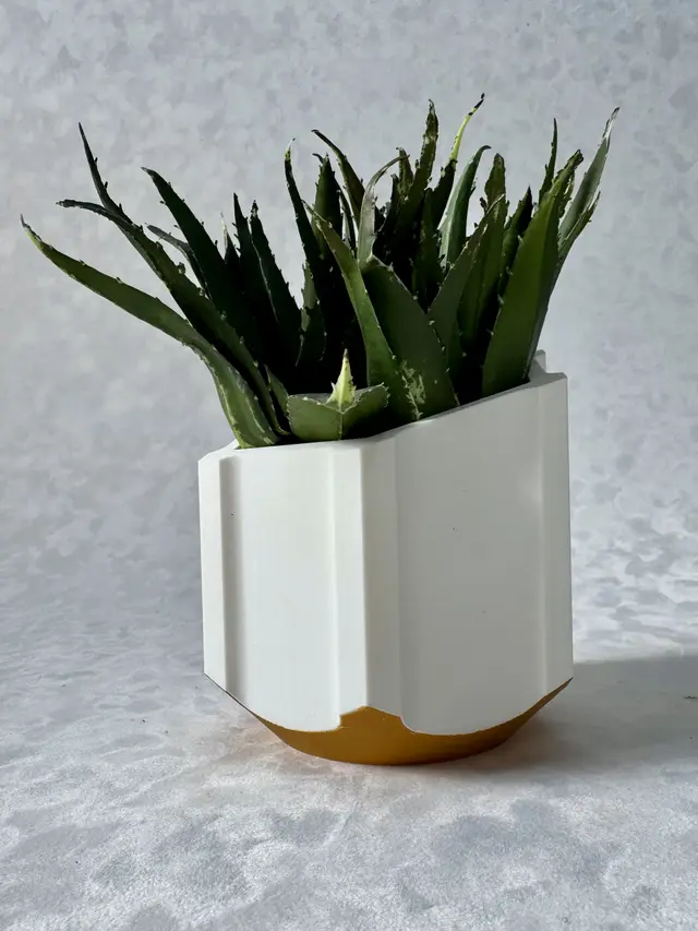 Planter — modelo 3D