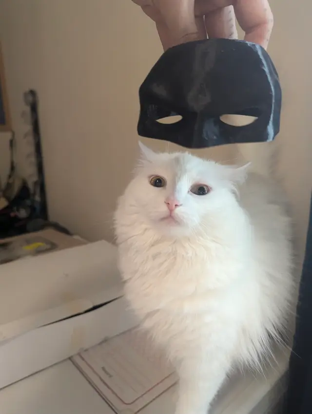 Bat Cat Batman Mask Even Easier — modelo 3D