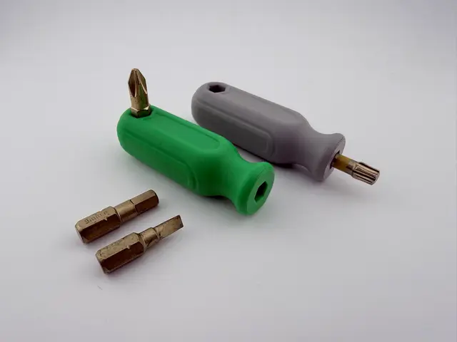 Bit-Schraubendreher Dual-Bit 1/4" — modelo 3D