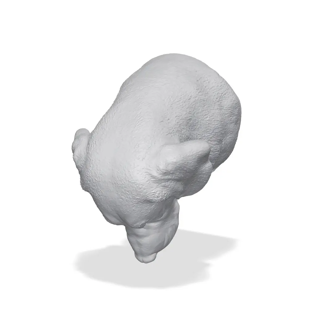Beagle Bust 3D Print STL — modelo 3D