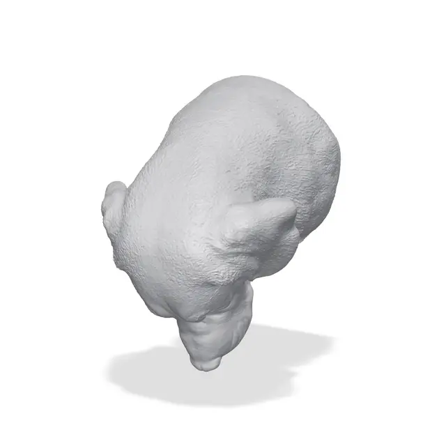 Beagle Bust 3D Print STL — modelo 3D