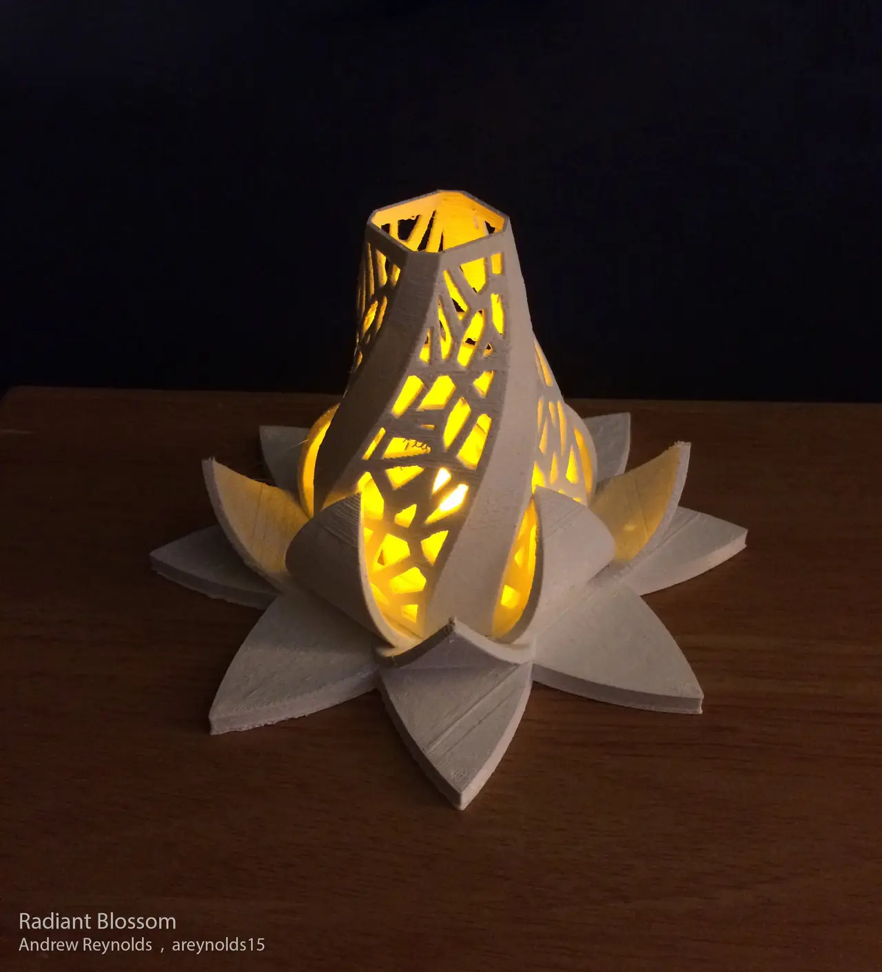 Radiant Blossom — modelo 3D