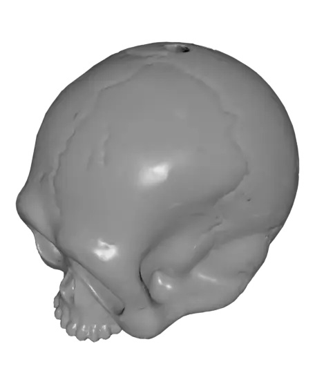 Skull Keychain Fidget Clicker - Fun Jaw Click Sound — modelo 3D