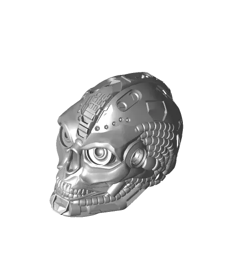 Cyber Skull Flat Bottom — modelo 3D