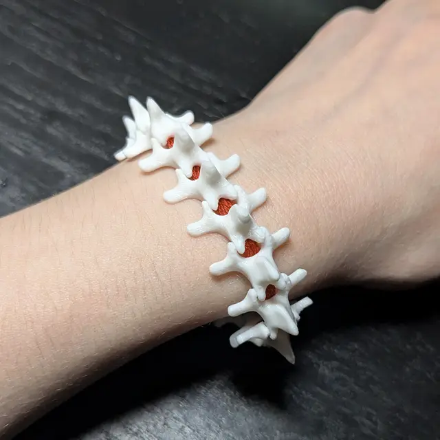 Articulated Spine thing 1.8 — modelo 3D