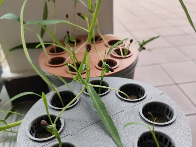 Snap Together Propagation Hydroponics 18cm bin — modelo 3D