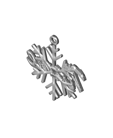 Christmas Decoration (#2) Your Name, Snowflake, Gift — modelo 3D