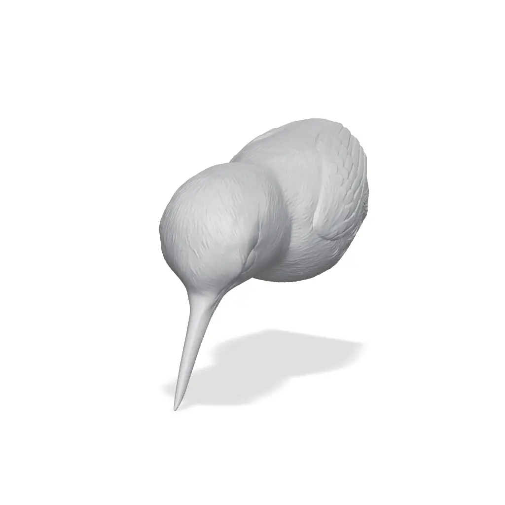 Hummingbird Bust 3D Print STL — modelo 3D
